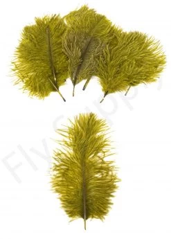 Mini Ostrich Marabou Plumes 17 Mini Ostrich Marabou Plumes -Fishing Equipment Shop Mini Ostrich Marabou plumes 40 83XXX dsc09499 bewerkt 1