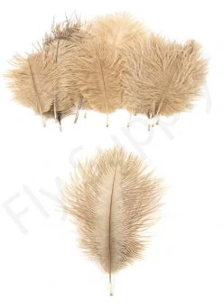 Mini Ostrich Marabou Plumes 19 Mini Ostrich Marabou Plumes -Fishing Equipment Shop Mini Ostrich Marabou plumes 40 83XXX dsc09502 bewerkt 1