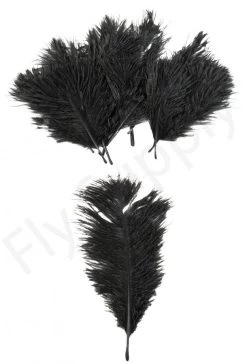 Mini Ostrich Marabou Plumes 21 Mini Ostrich Marabou Plumes -Fishing Equipment Shop Mini Ostrich Marabou plumes 40 83XXX dsc09504 bewerkt 1