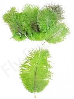 Mini Ostrich Marabou Plumes 24 Mini Ostrich Marabou Plumes -Fishing Equipment Shop Mini Ostrich Marabou plumes 40 83XXX dsc09507 bewerkt 1