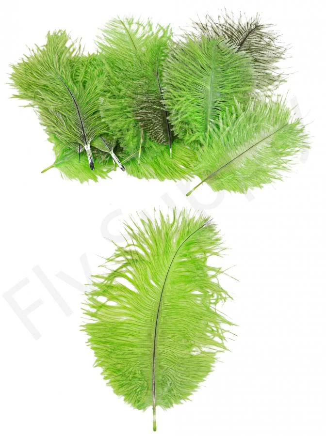 Mini Ostrich Marabou Plumes 12 Mini Ostrich Marabou Plumes - Image 12
