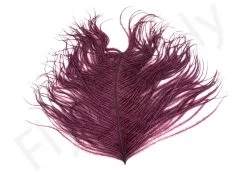 Premium Ostrich Herl Long Fibers -Fishing Equipment Shop Ostrich Herl Long Fibers OH XXX dsc08763