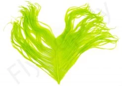 Premium Ostrich Herl Long Fibers -Fishing Equipment Shop Ostrich Herl Long Fibers OH XXX dsc08779