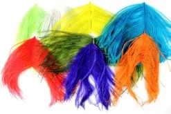 Ostrich Herls Barred Long