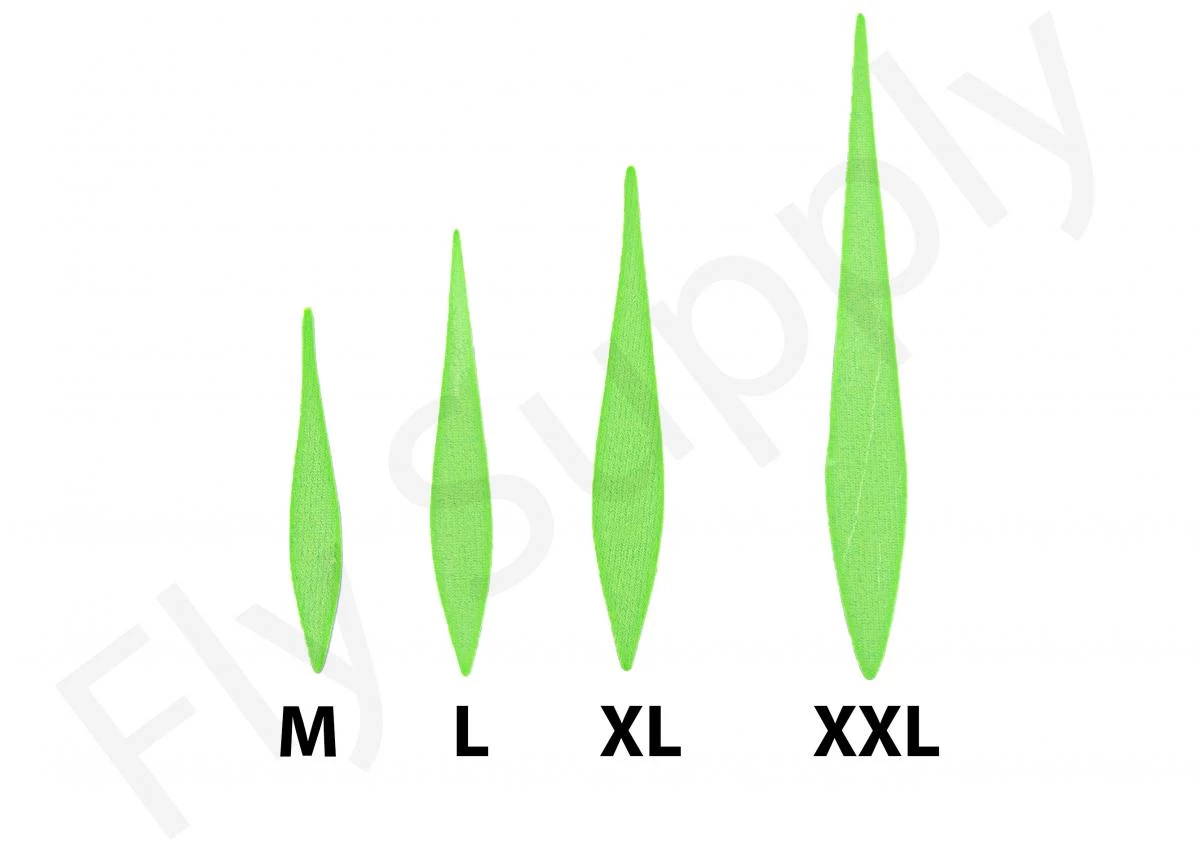 Pacchiarini’s Wave Tails XL 4 Pacchiarini’s Wave Tails XL - Image 4