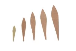 Pacchiarini’s Wave Tails XXL 22 Pacchiarini’s Wave Tails XXL -Fishing Equipment Shop Pacchiarinis Wave Tails XXL WAVETAIL XXL1 X dsc05805 bewerkt