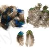 Peacock Body Feathers 25pc