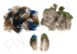 Peacock Body Feathers 25pc