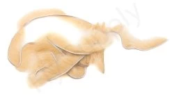 Premium Micro Mink Zonkers 1mm -Fishing Equipment Shop Premium Micro Mink Zonkers 1mm MICROMINKZONKERS XXX dsc05830