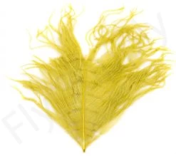 Premium Ostrich Herl Long Fibers -Fishing Equipment Shop Premium Ostrich Herl Long Fibers OH XXX dsc02487