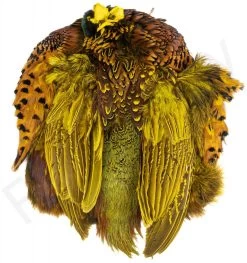 Premium Ringneck Pheasant Skin 9 Premium Ringneck Pheasant Skin -Fishing Equipment Shop Premium Ringneck Pheasant Skin RINGSKIN XXX dsc04737