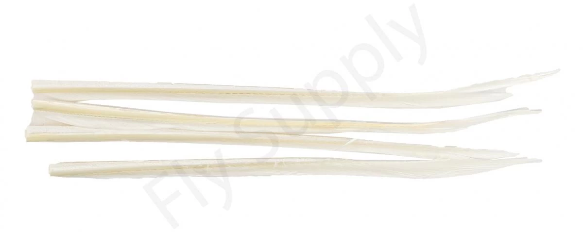 Premium Turkey Biots 4 Premium Turkey Biots - Image 4