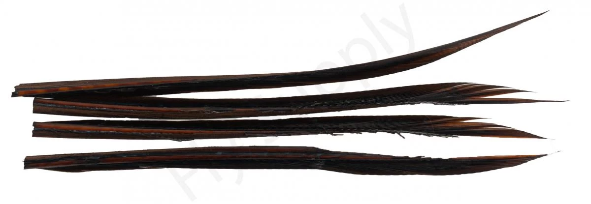 Premium Turkey Biots 3 Premium Turkey Biots - Image 3