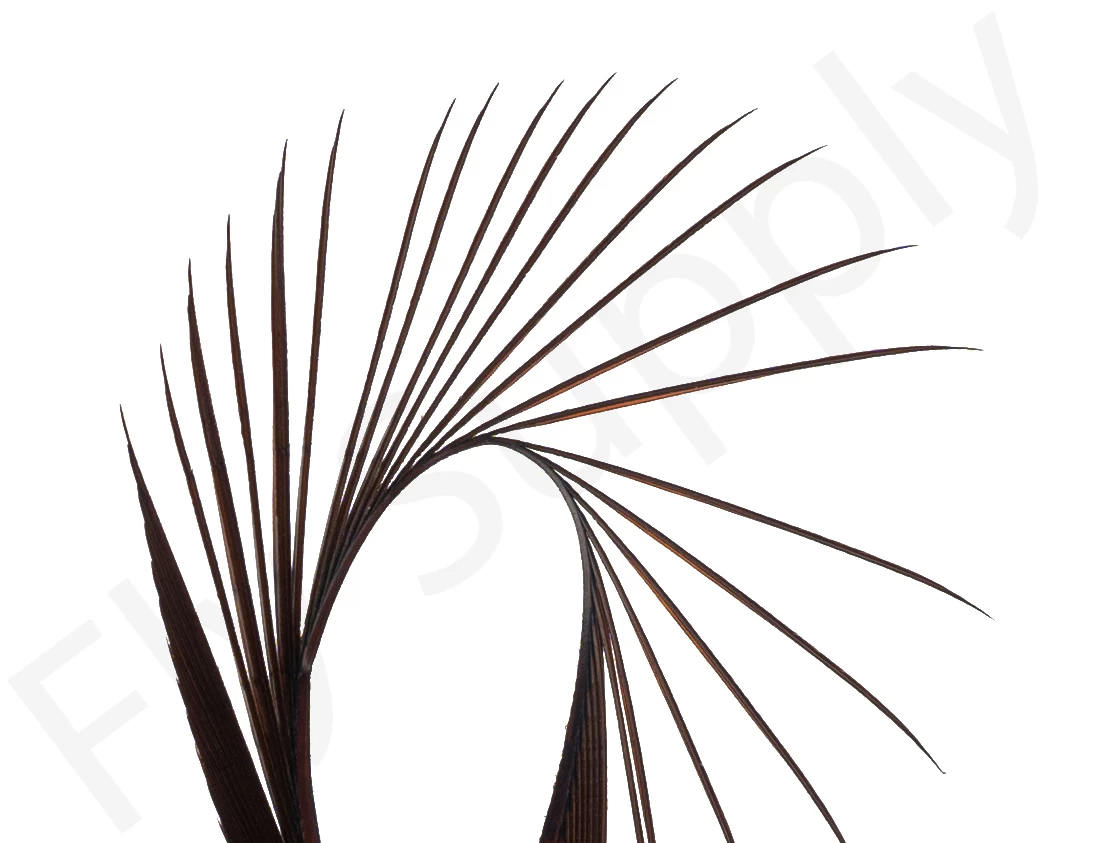 Premium Turkey Biots 2 Premium Turkey Biots - Image 2