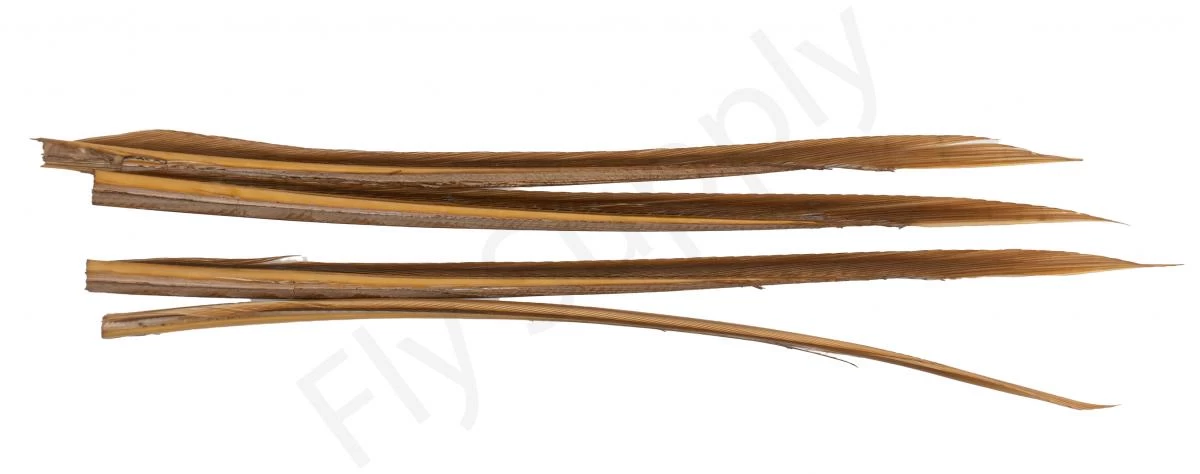 Premium Turkey Biots 6 Premium Turkey Biots - Image 6