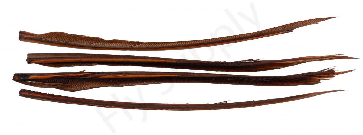 Premium Turkey Biots 8 Premium Turkey Biots - Image 8