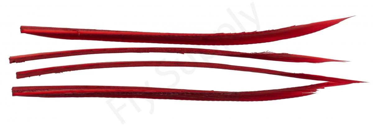 Premium Turkey Biots 7 Premium Turkey Biots - Image 7