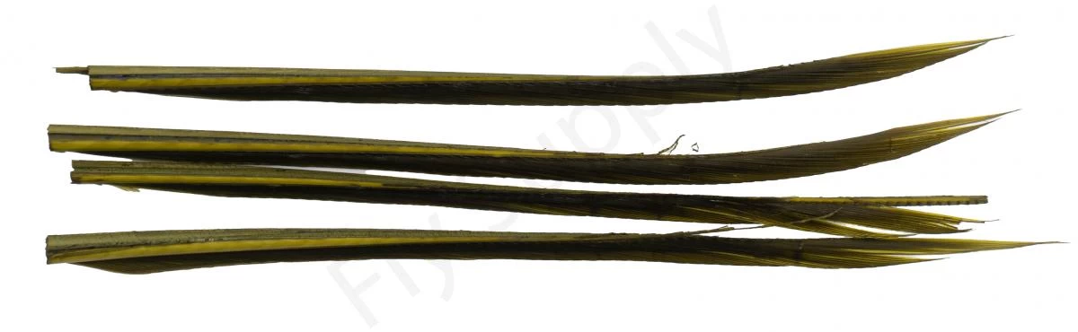 Premium Turkey Biots 9 Premium Turkey Biots - Image 9