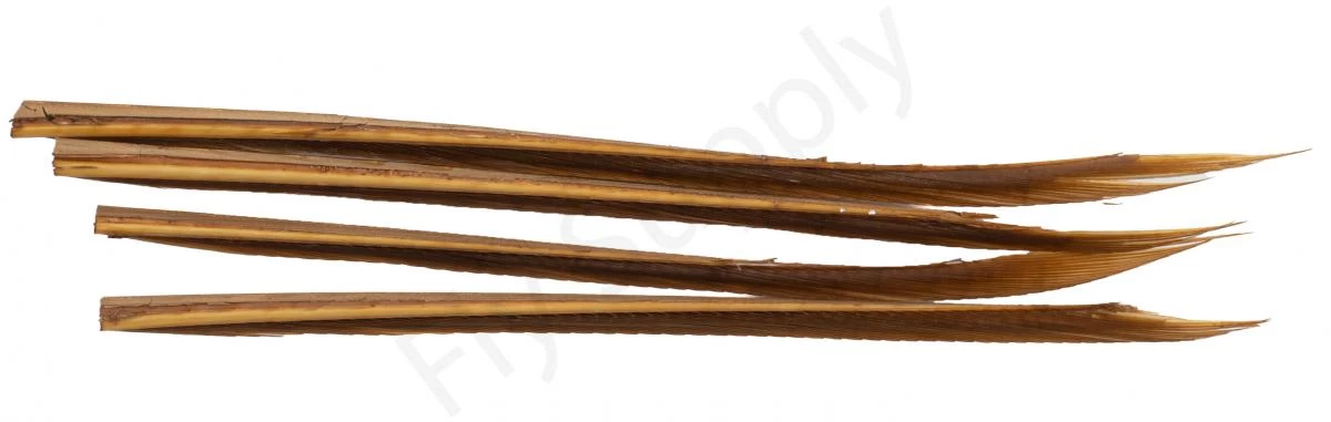 Premium Turkey Biots 12 Premium Turkey Biots - Image 12