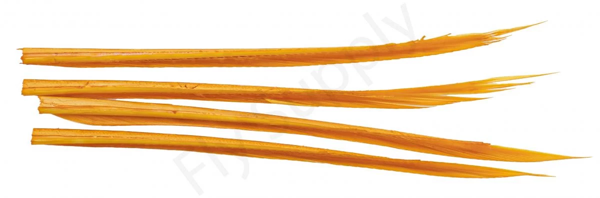 Premium Turkey Biots 13 Premium Turkey Biots - Image 13