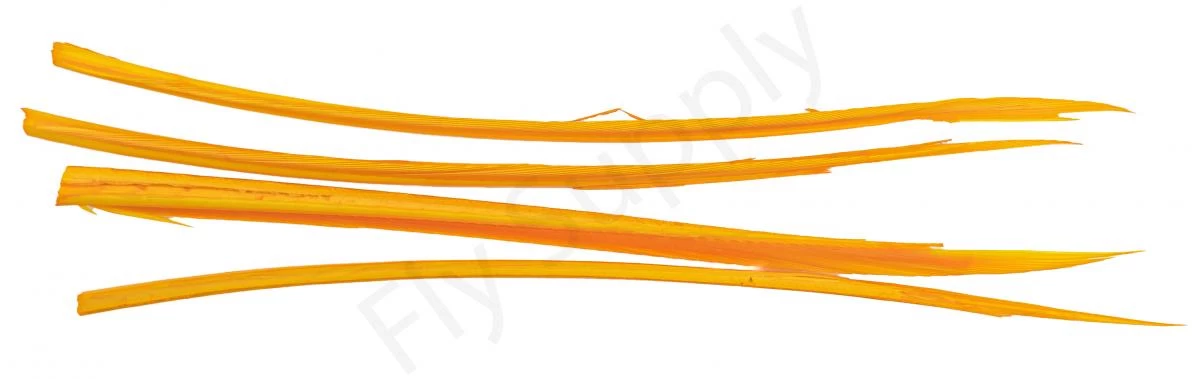 Premium Turkey Biots 14 Premium Turkey Biots - Image 14