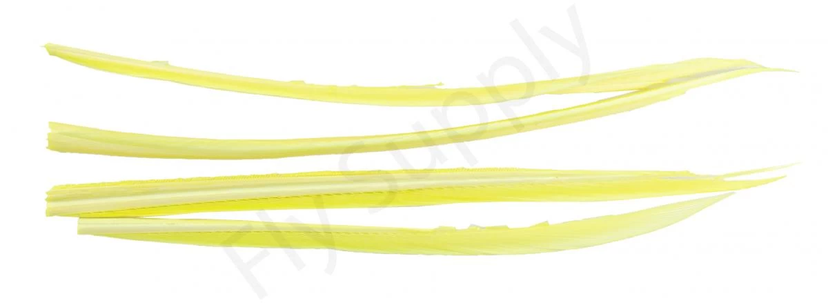 Premium Turkey Biots 17 Premium Turkey Biots - Image 17