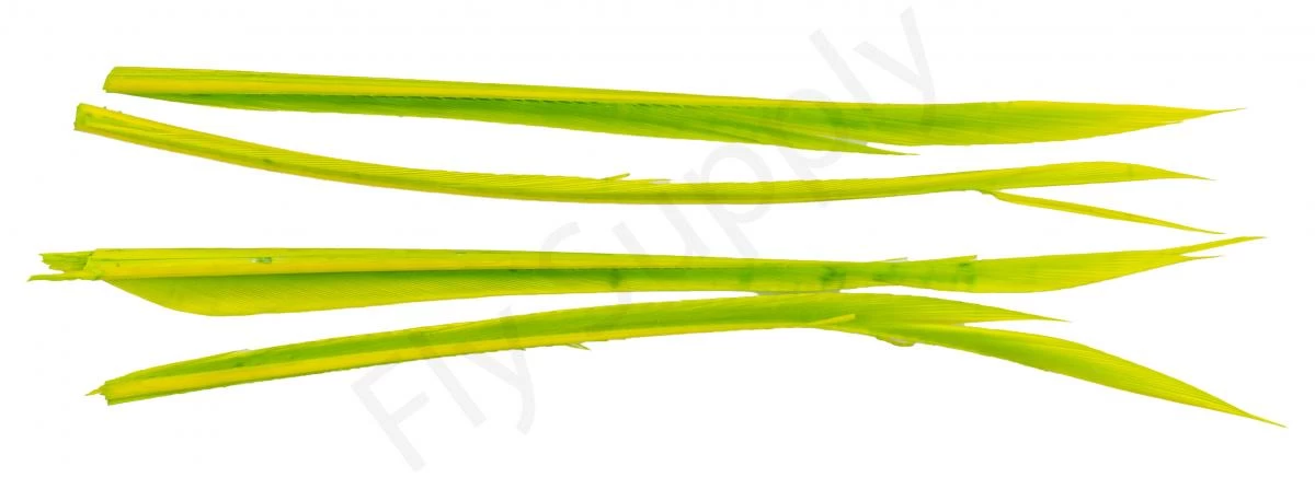 Premium Turkey Biots 18 Premium Turkey Biots - Image 18