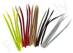 Premium Turkey Biots