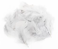 Premium Turkey Flats Marabou Feathers 12 Premium Turkey Flats Marabou Feathers -Fishing Equipment Shop Premium Turkey Flats Marabou Feathers FS TYING PTFM X dsc06522 bewerkt 2