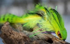 Pro Sportfisher Attitude Eyes -Fishing Equipment Shop Pro Sportfisher Attitude Eyes XL 2mm PROATTEYES XXX s ren muddler 3