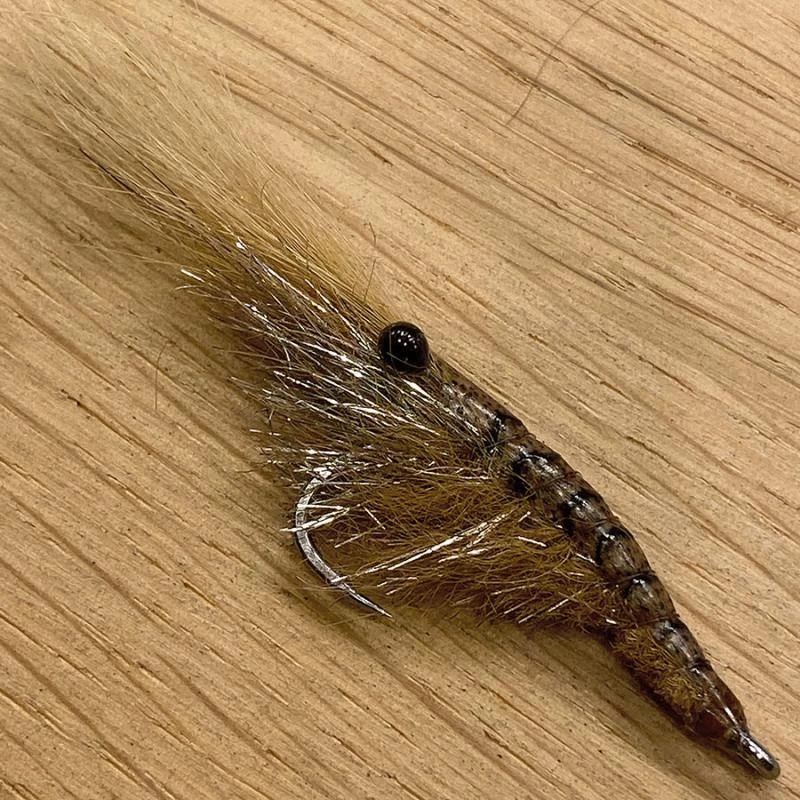 Pro Sportfisher Shrimp Shell WOE 3 Pro Sportfisher Shrimp Shell WOE - Image 3