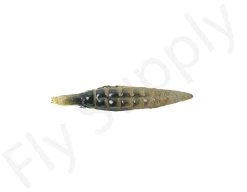 Realistic Nymph Backs 10pc -Fishing Equipment Shop Realistic Nymph Backs 10pc RNBREALISTIC XXX dsc05162 bewerkt