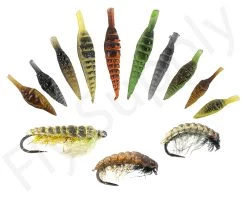 Realistic Nymph Backs 10pc