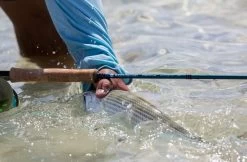 Redington Predator II Fly Rod -Fishing Equipment Shop Redington Predator II Fly Rod 05 851 XX knipsel4