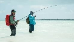 Redington Predator II Fly Rod -Fishing Equipment Shop Redington Predator II Fly Rod 05 851 XX knipsel6