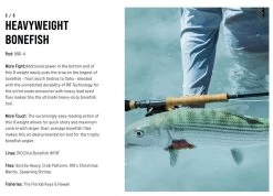 SAGE Salt R8 Fly Rod -Fishing Equipment Shop SAGE Salt R8 Fly Rod 03 17 XXX 10 1