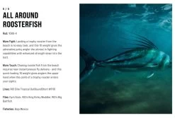 SAGE Salt R8 Fly Rod -Fishing Equipment Shop SAGE Salt R8 Fly Rod 03 17 XXX 15 1