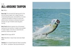 SAGE Salt R8 Fly Rod -Fishing Equipment Shop SAGE Salt R8 Fly Rod 03 17 XXX 16 1