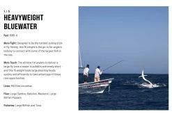 SAGE Salt R8 Fly Rod -Fishing Equipment Shop SAGE Salt R8 Fly Rod 03 17 XXX 20 1