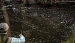 SAGE Sense Fly Rod -Fishing Equipment Shop SAGE Sense Fly Rod SAGESENSEROD XXX sense tube2