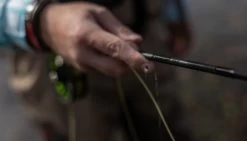 SAGE Sense Fly Rod -Fishing Equipment Shop SAGE Sense Fly Rod SAGESENSEROD XXX sense tube4