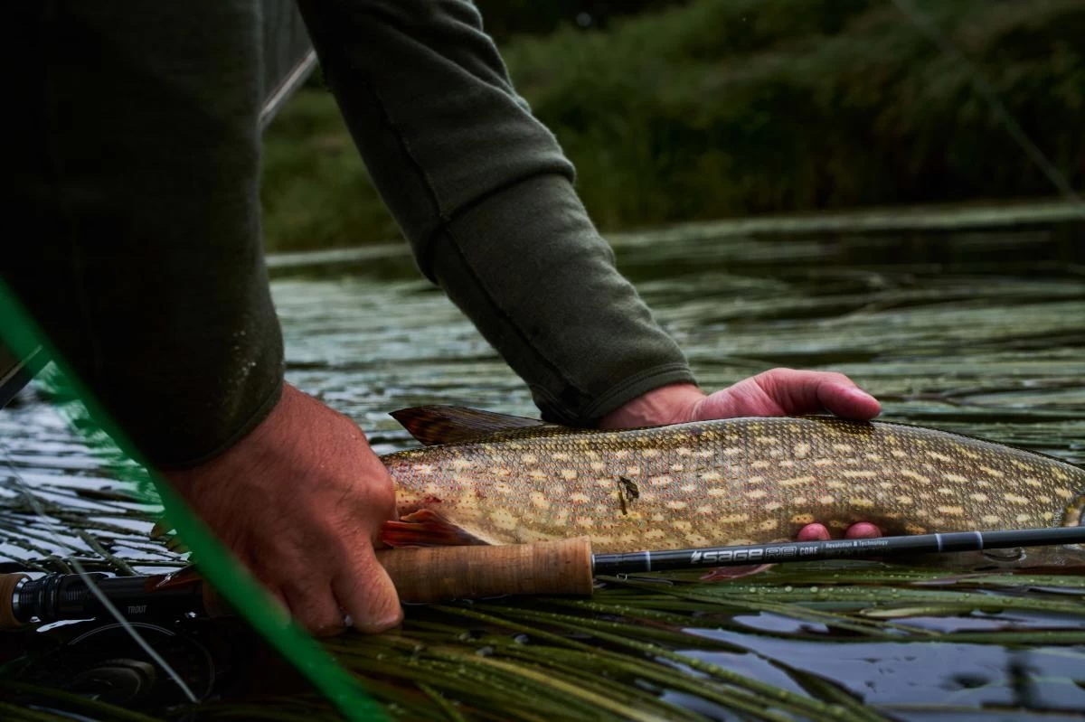 Sage R8 Core Fly Rods 19 Sage R8 Core Fly Rods - Image 19