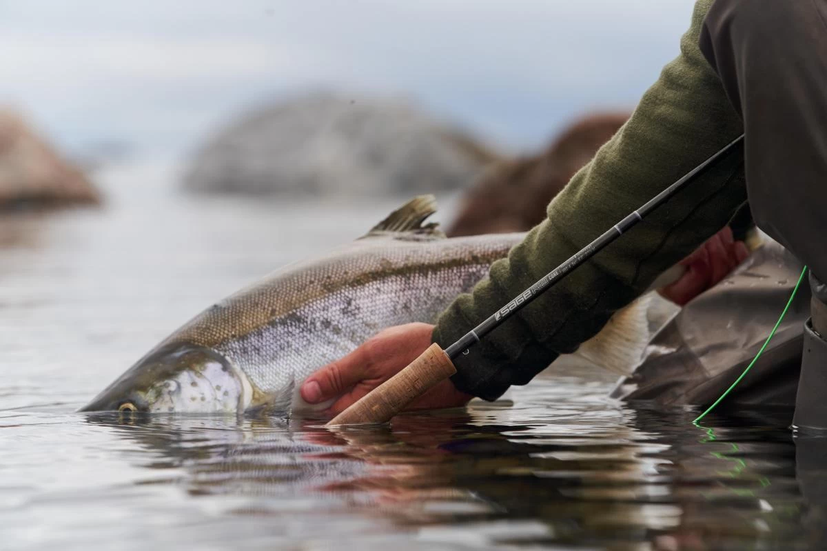 Sage R8 Core Fly Rods 20 Sage R8 Core Fly Rods - Image 20