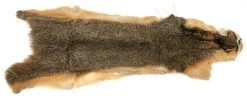 Squirrel Skin Whole 5 Squirrel Skin Whole -Fishing Equipment Shop Squirrel Skin Whole SQRLSKIN XXX dsc05596