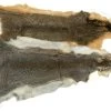 Squirrel Skin Whole