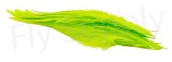 Streamer Saddle Feathers Large 18pc -Fishing Equipment Shop Streamer Saddle Feathers Large 18pc STR SAD X dsc01507 bewerkt wm