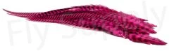 Streamer Saddle Feathers Large 18pc -Fishing Equipment Shop Streamer Saddle Feathers Large 18pc STR SAD X dsc01519 bewerkt wm