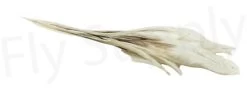 Streamer Saddle Feathers Large 18pc -Fishing Equipment Shop Streamer Saddle Feathers Large 18pc STR SAD X dsc01525 bewerkt wm