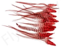 Streamer Saddle Feathers Large 18pc -Fishing Equipment Shop Streamer Saddle Feathers Large 18pc STR SAD X dsc01531 bewerkt wm