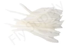 Streamer Saddle Feathers Large 18pc -Fishing Equipment Shop Streamer Saddle Feathers Large 18pc STR SAD X dsc08701 bewerkt